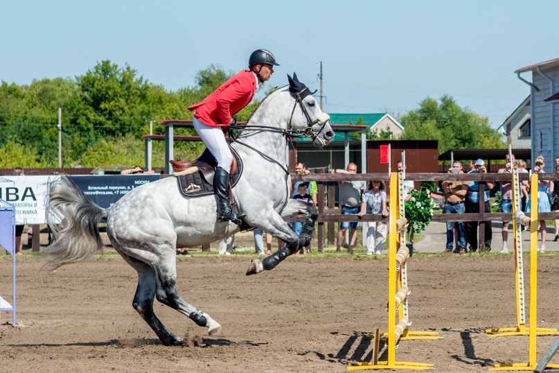 Андрей Мартынов | Мичуринск