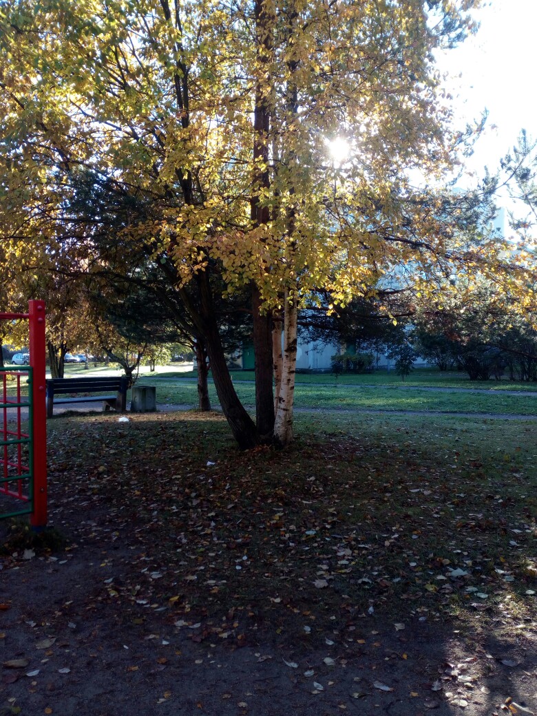 Лена Трофимова | Санкт-Петербург