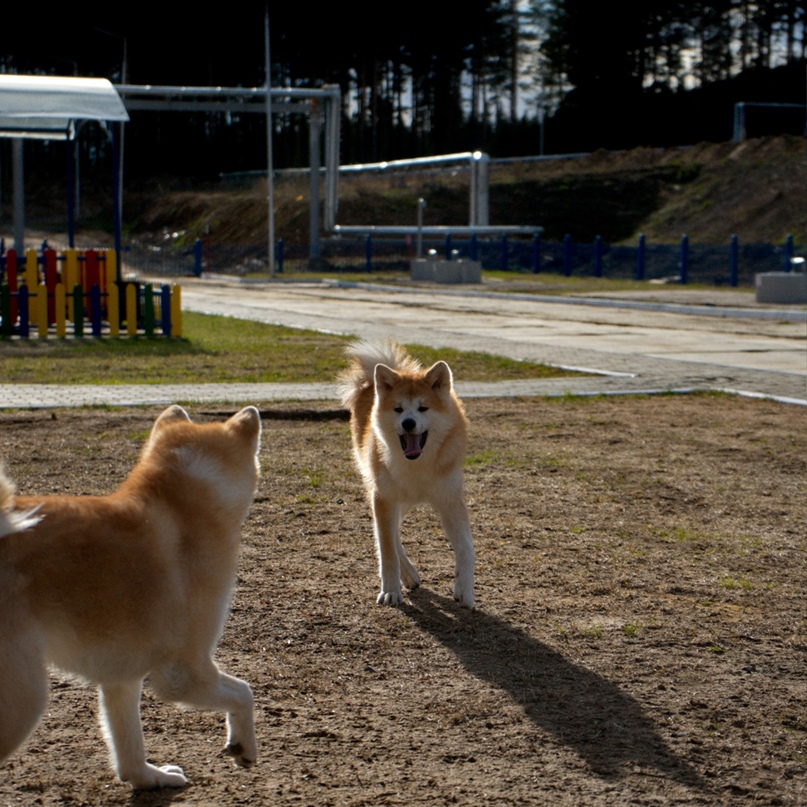 Игорь Вантеев | Красноярск