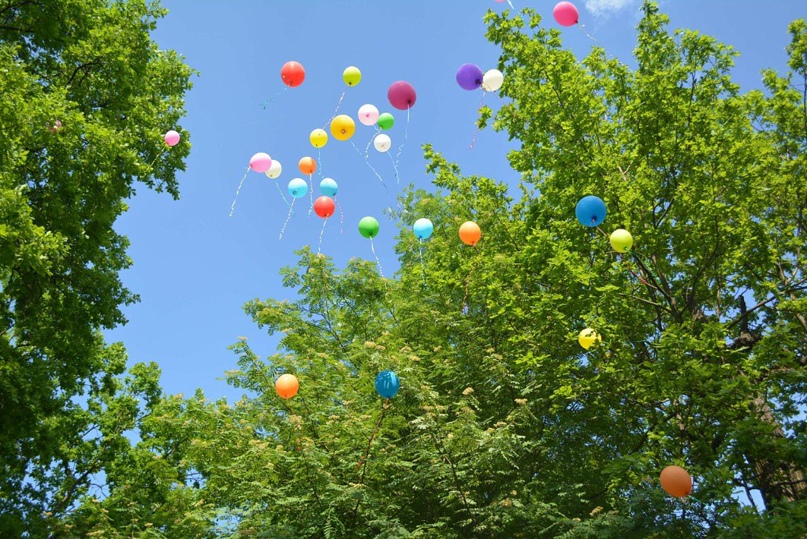 Светлана Михалёва | Москва