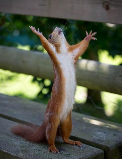 Полина Михеева | Wiesbaden