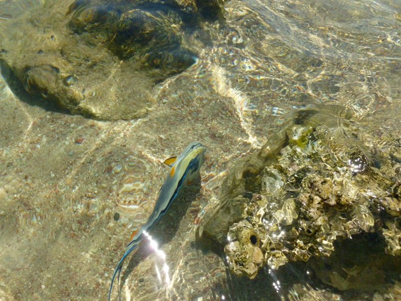 Татьяна Горюнова | Тверь