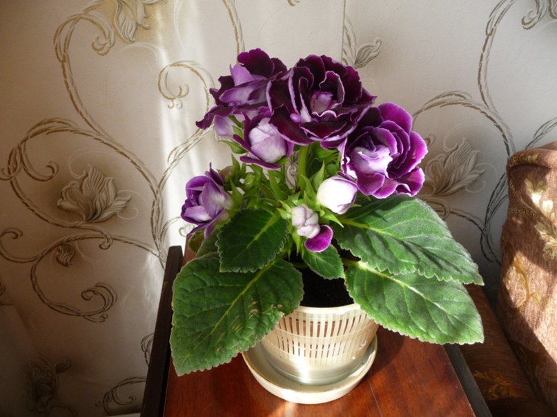 Наталья Колобова | Медвежьегорск