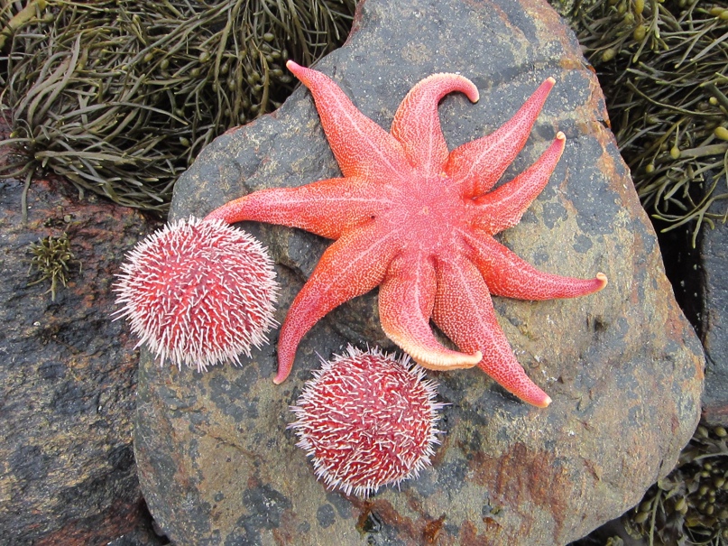 Римма Рычкова | Саратов