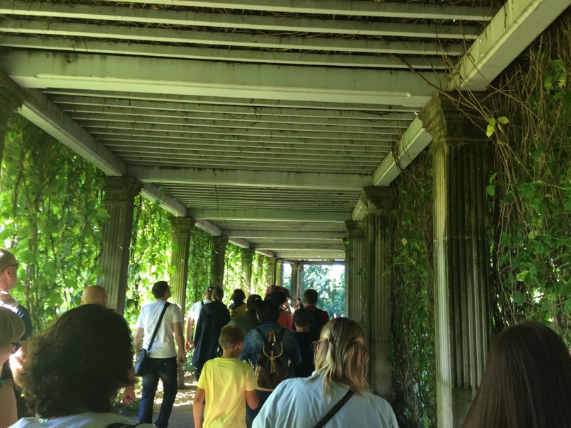 Наталия Яшина | Тольятти