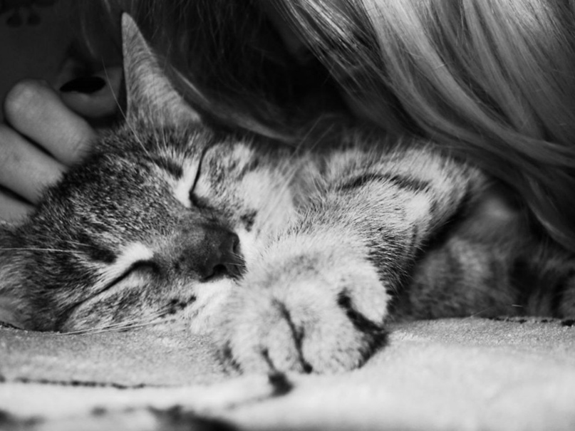 Александра Королева | Самара