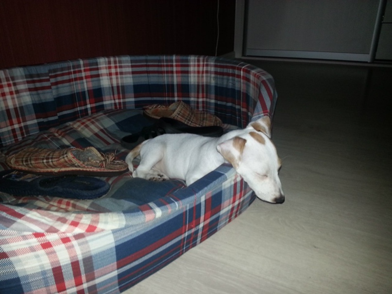 Тимур Юлдашев | Москва