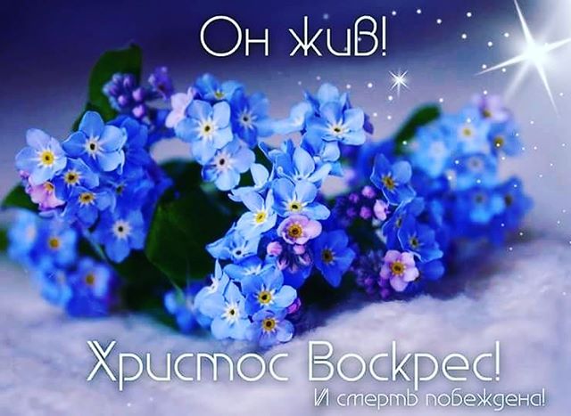 Виталий Гришаков Djøday | Алматы