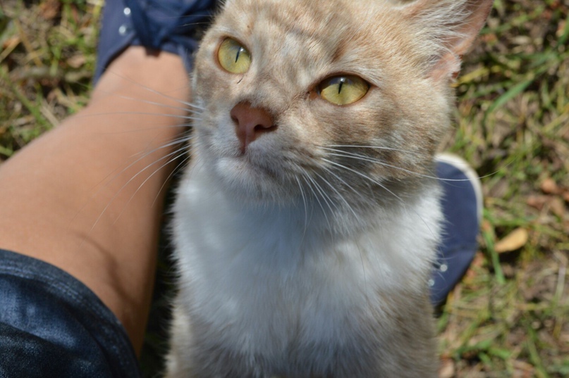 Елена Бушуева | Москва