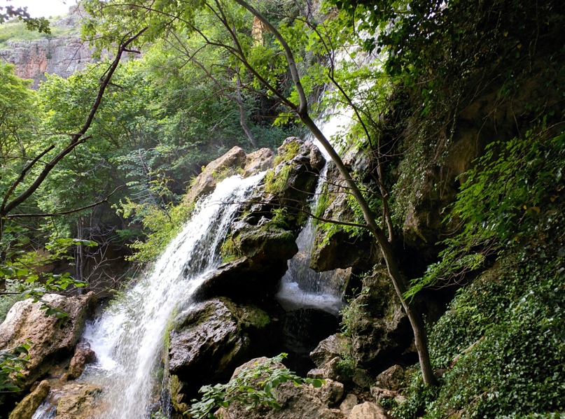 Максим Викторов | Москва