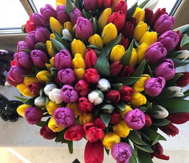 Марина Малышева | Йошкар-Ола