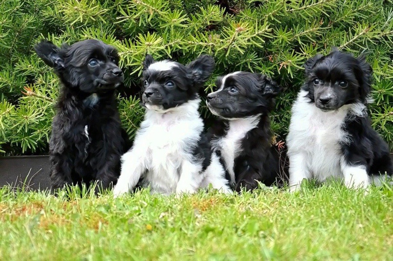 Ирина Шилова Александровна | Пермь