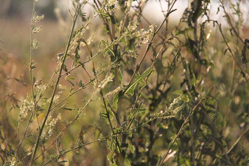 Анастасия Суровцева | Москва