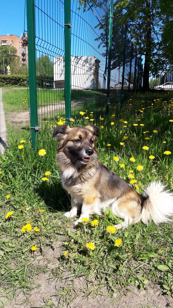 Наталья Оленева | Тихвин