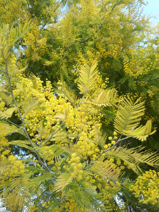 Евгений Ненашев | Урай