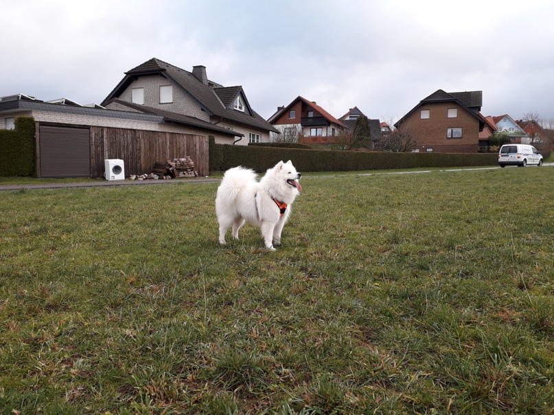 Елена Еленина | Екатеринбург