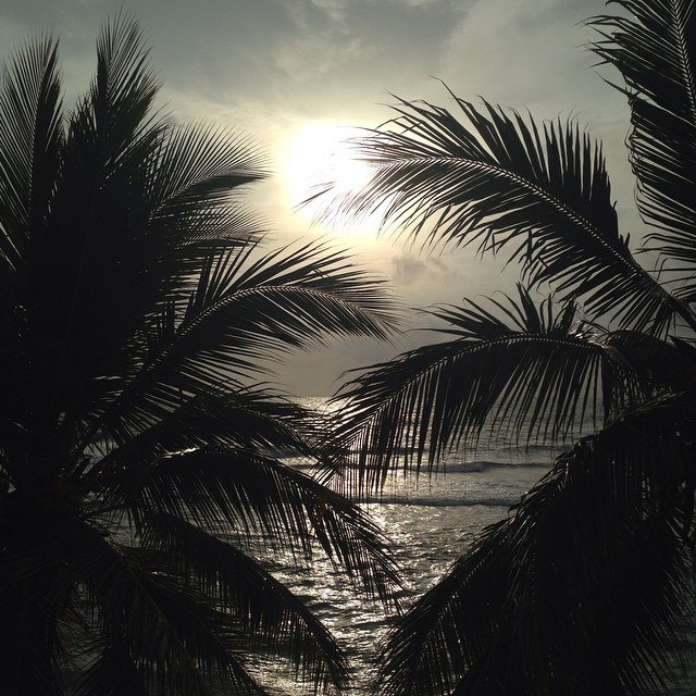 Дмитрий Онегин | Москва