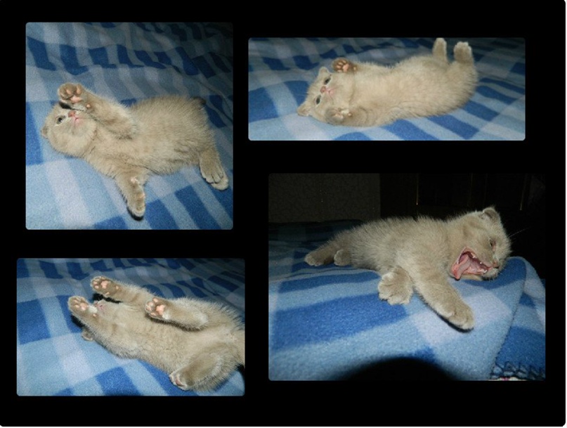 Валерия Рослякова | Нижний Новгород