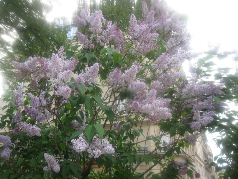 Анна Рябышева | Санкт-Петербург