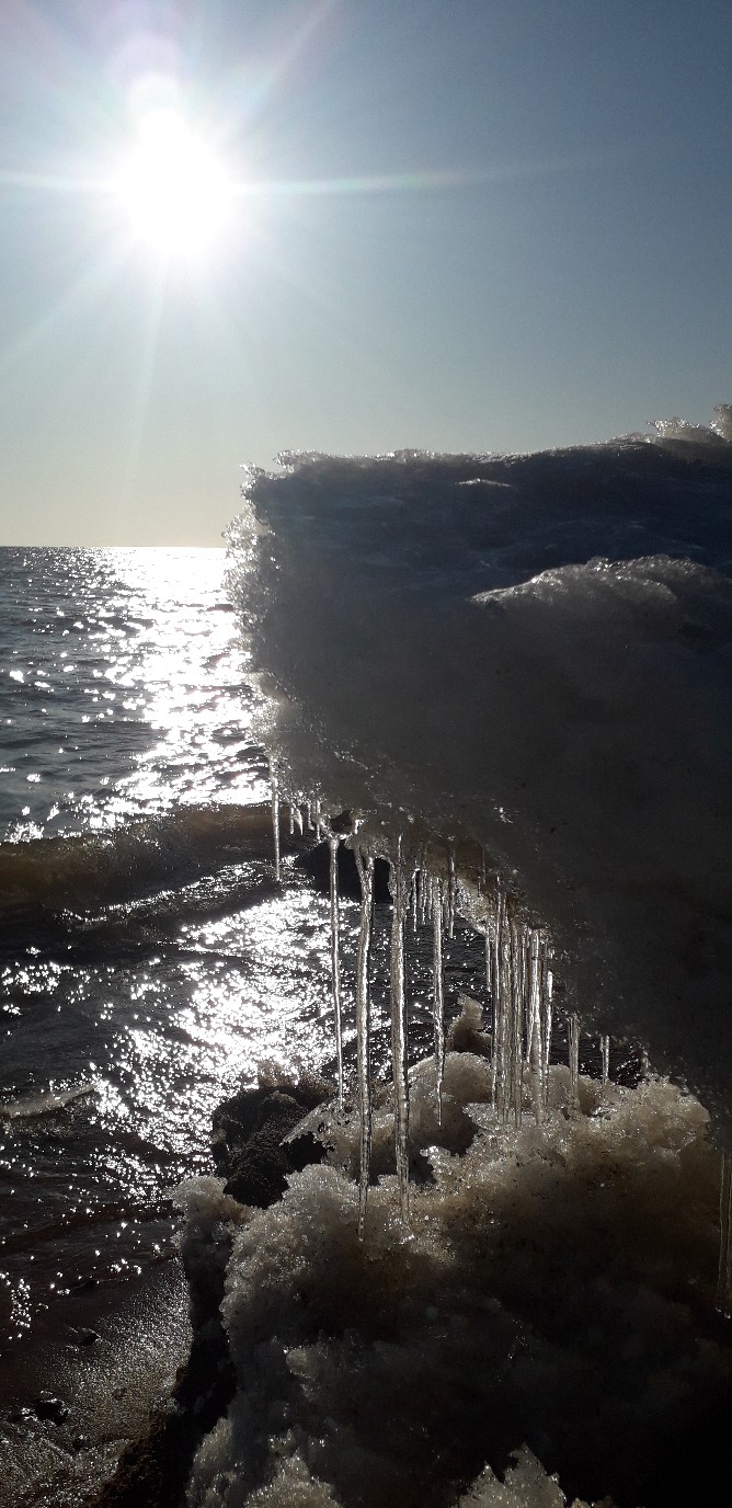 Елена Куракина | Санкт-Петербург