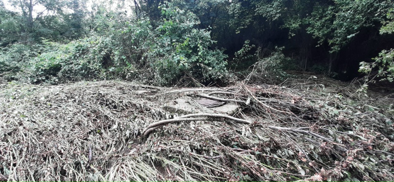 Артем Ермолаев | Москва
