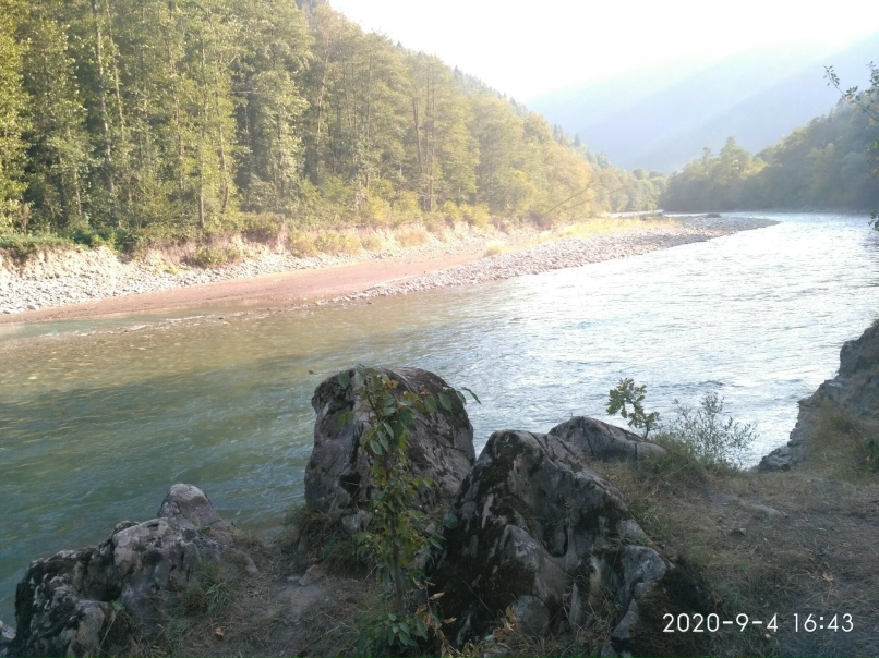 Анна Шаркова | Сочи