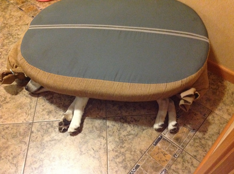 Ирина Трошина | Рязань