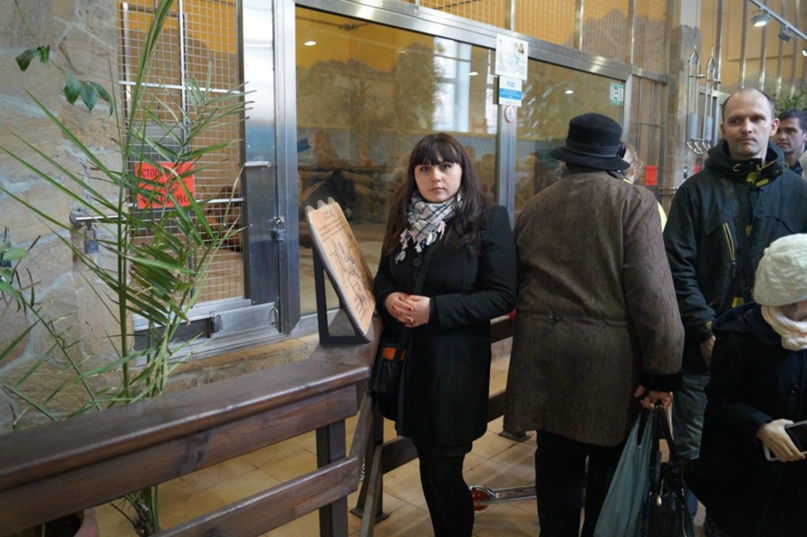 Ирина Сашина | Санкт-Петербург