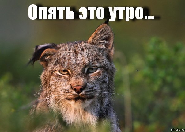 Виталий Сухоруков | Обь