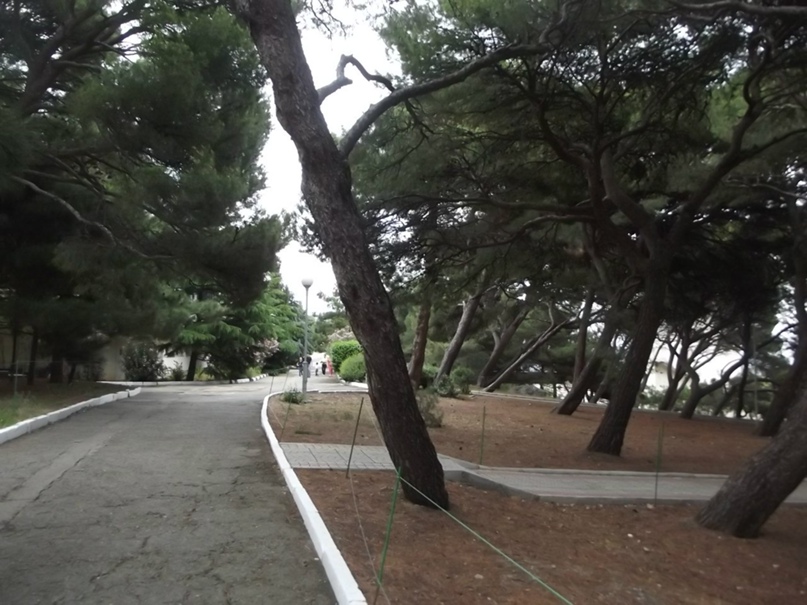 Василий Марченко | Москва