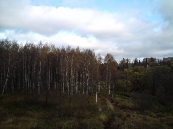 Александр Терентьев Immoral Monk | Химки