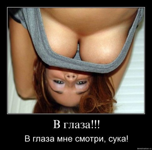 Алексей Полозов | Санкт-Петербург