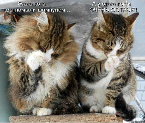 Анна Перепелица | Berlin