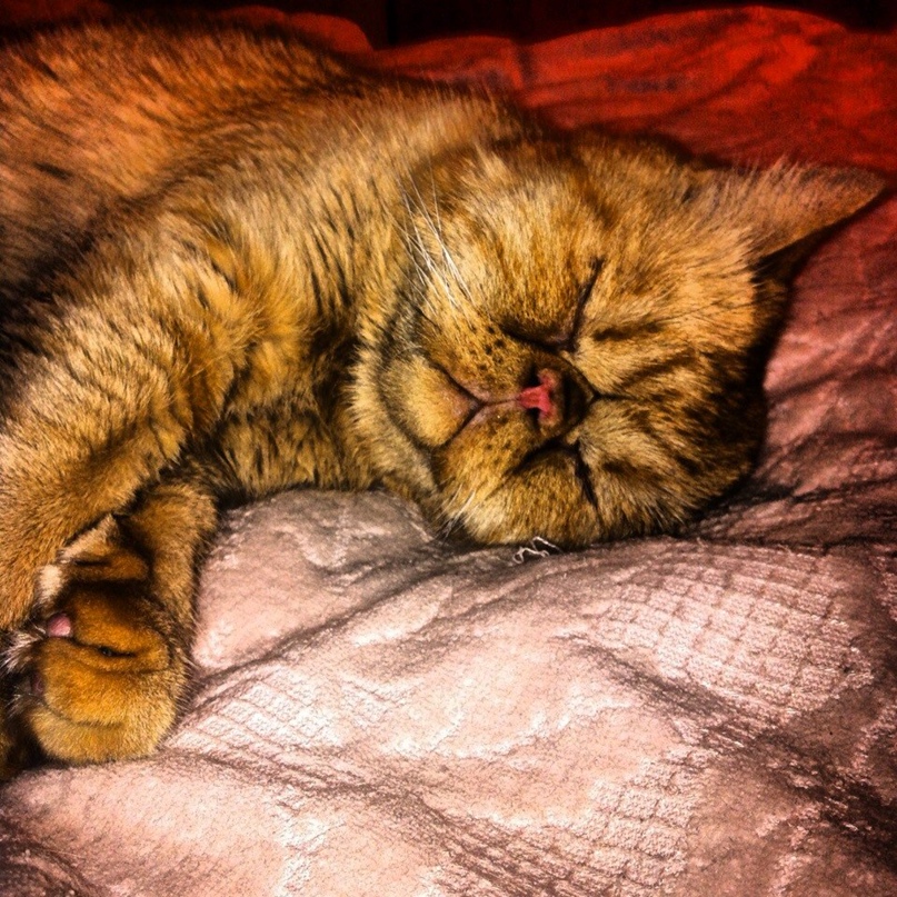 Михаил Горячкин | Электросталь