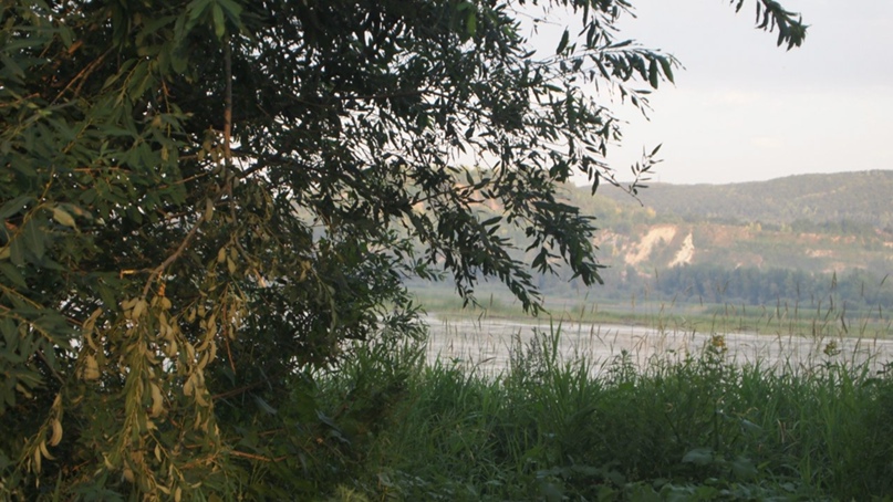 Виталий Емельянов | Miami