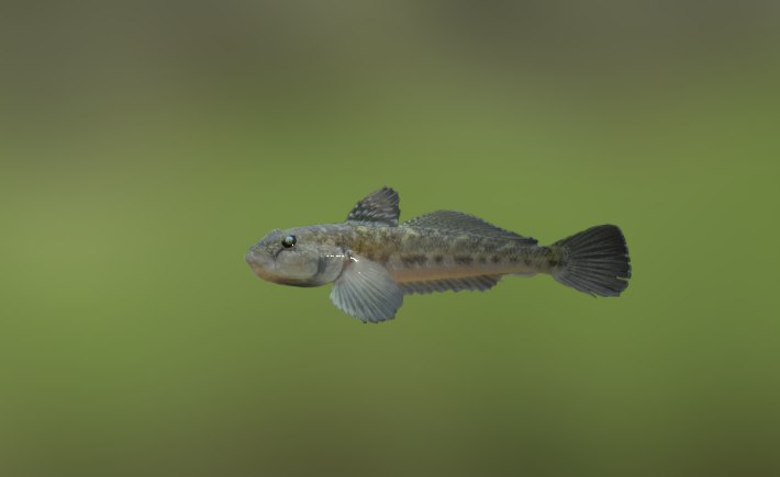 Юрий Токарев Александрович | Минск