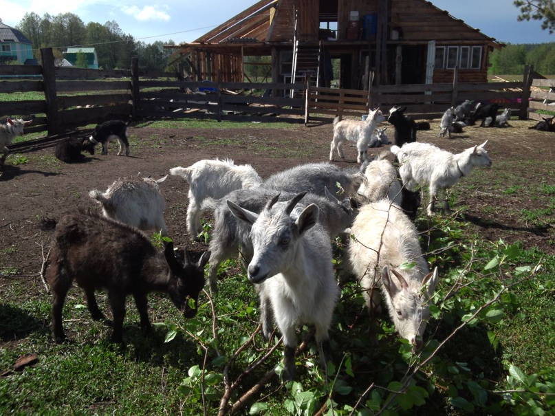 Андрей Ковтун | Киев