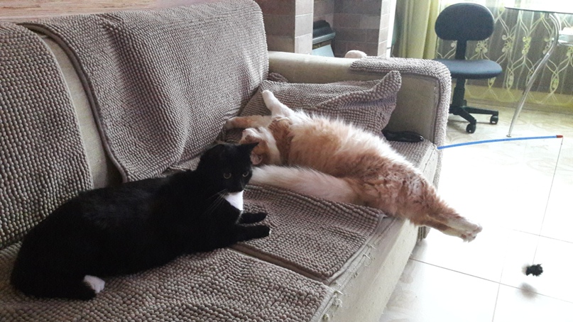 Юлия Мочалова | Санкт-Петербург