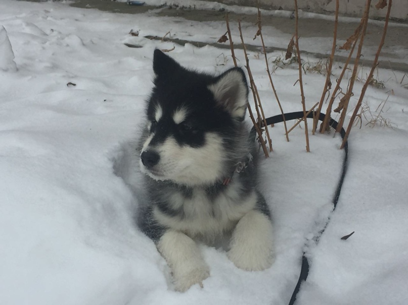 Евгения Кравцова | Екатеринбург