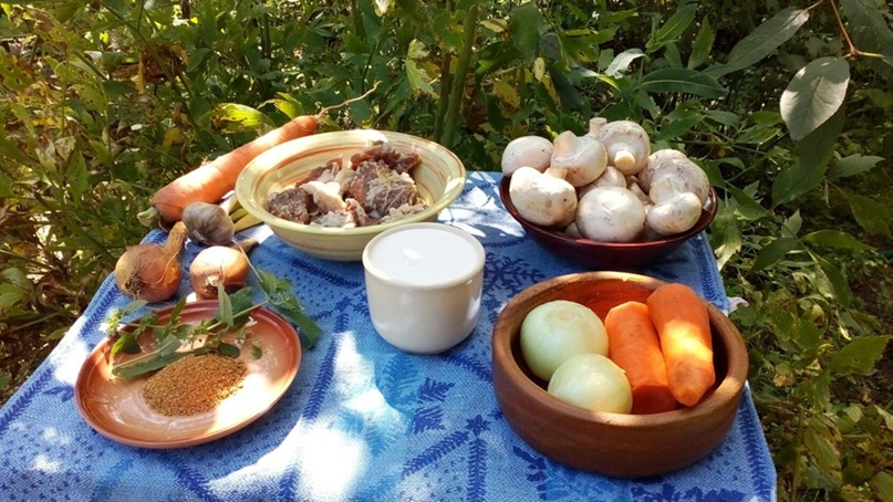 Светлана Селина |