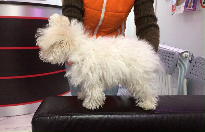 Надежда Перевозчикова ~kesha~ | Санкт-Петербург