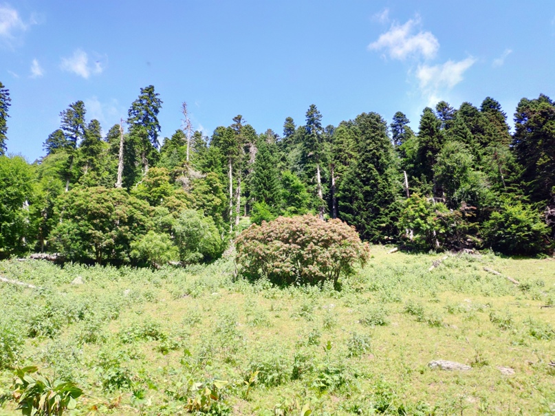 Александр Гребенюк | Невинномысск