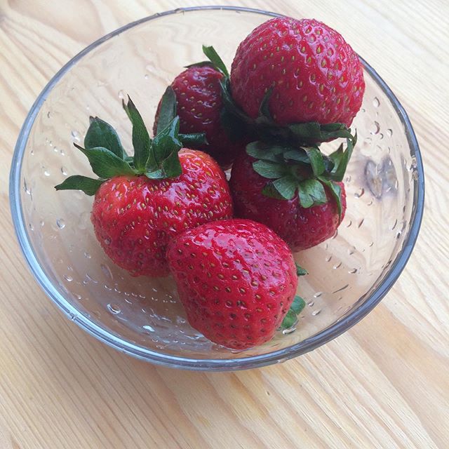 Надежда Зелянина | Архангельск