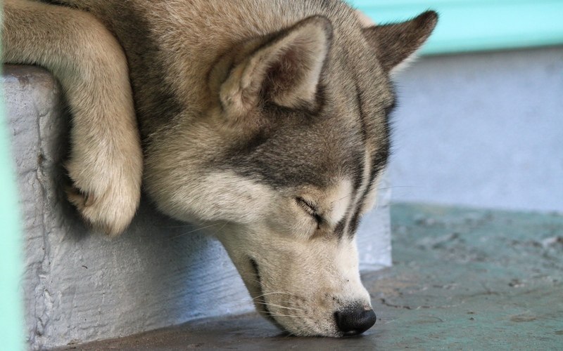 Наталья Кирсанова | Мурманск