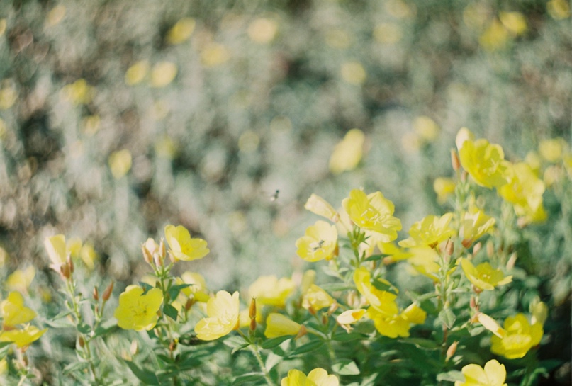 Сергей Костанец | Мариуполь