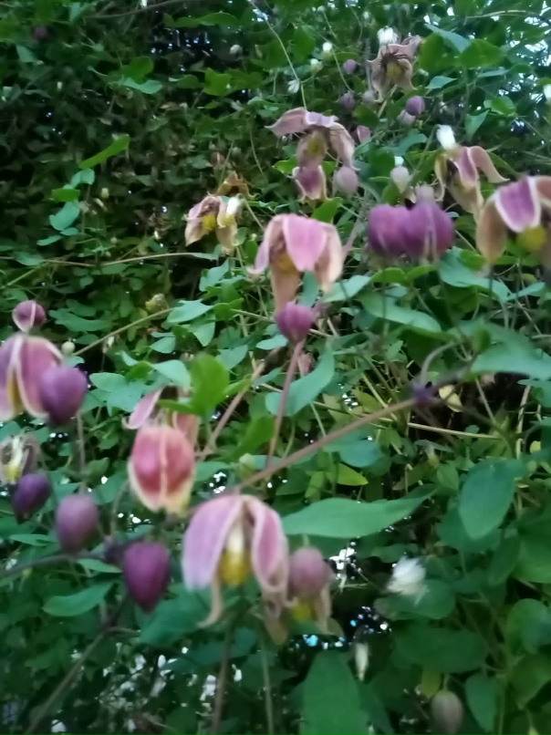 Юлия Гусева | Леушино