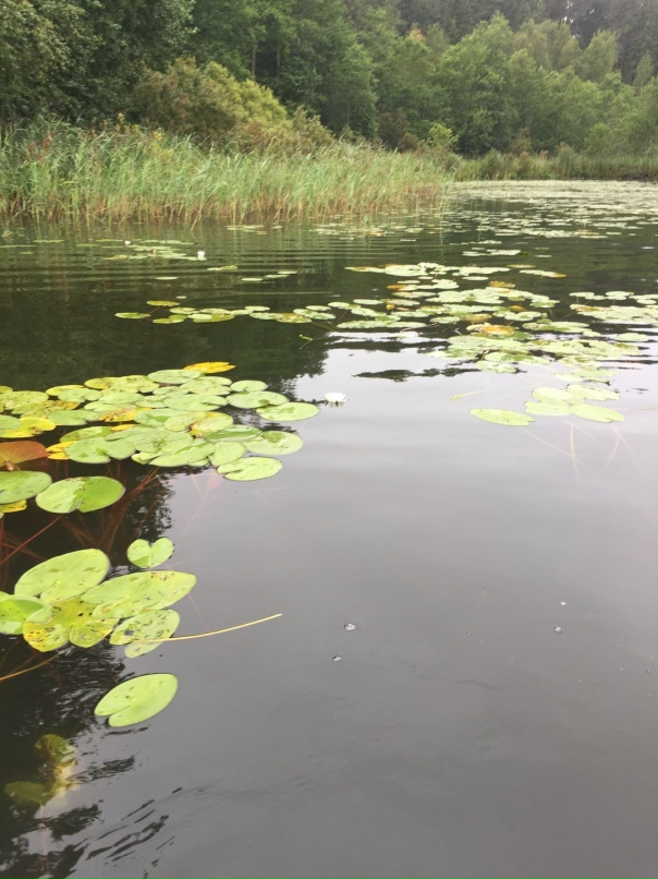 Екатерина Абдулова | Калуга