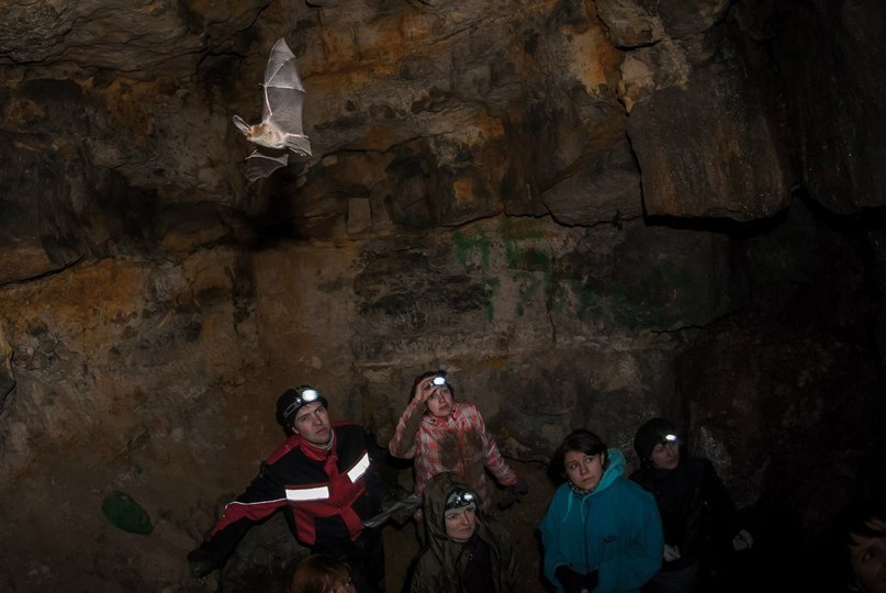 Елена Рождественская | Рязань