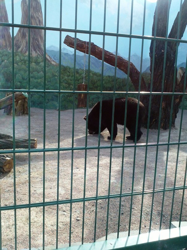 Наталья Федоренко | Одесса