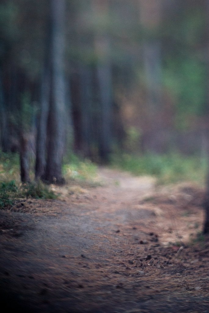 Кирилл Данильчук | Кемерово